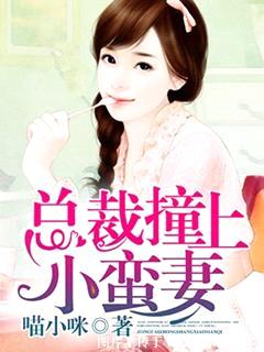 总裁撞上小蛮妻